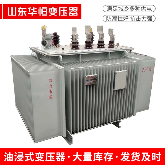 S13-10000/35新津新津新津电力变压器厂家