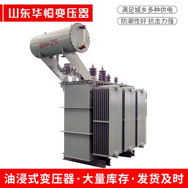 S11-10000/35新津新津新津电力变压器厂家