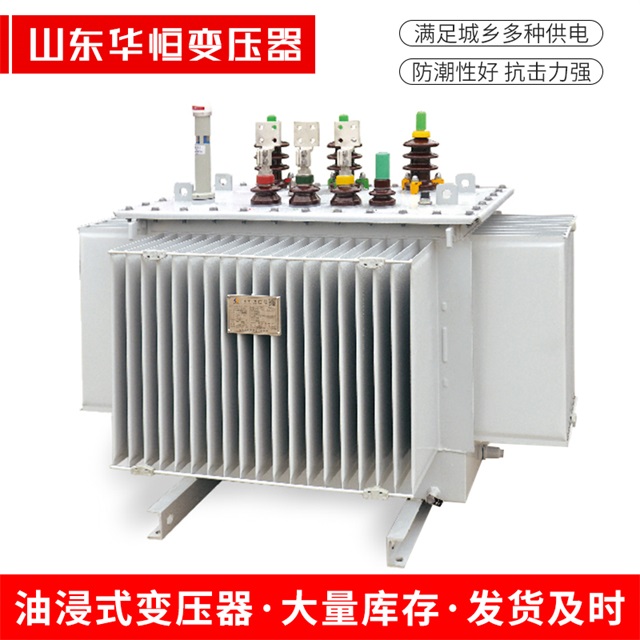 S13-10000/35新津新津新津电力变压器